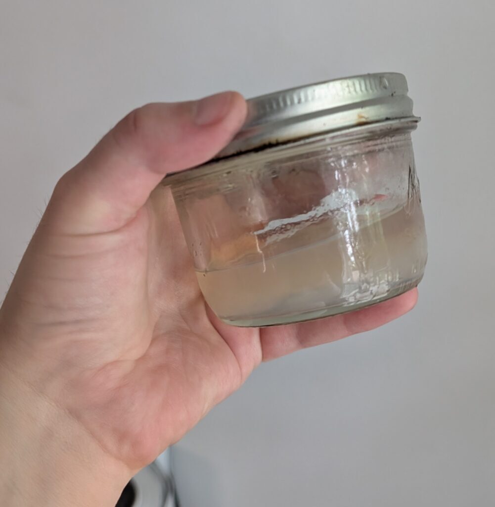 Plant tissue culture agar jar for growing carnivorous plants