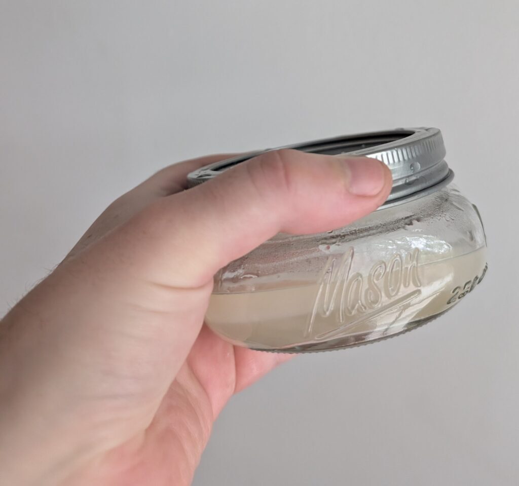 Potato starch dextrose agar jar for growing mushrooms