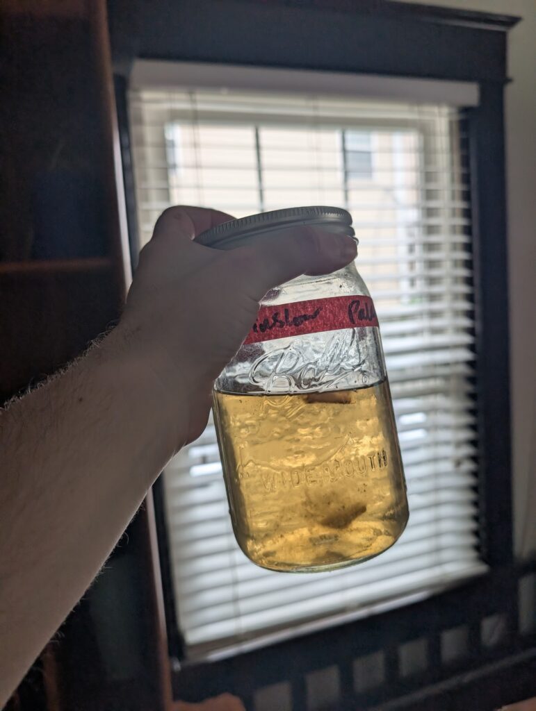 DIY home made liquid culture for mushroom cultivation. A mason jar filled with home made mushroom liquid culture made of corn syrup and water. It is golden in color and has chunks of solid agar in it and mycelium growing in it in a hazy clump.
