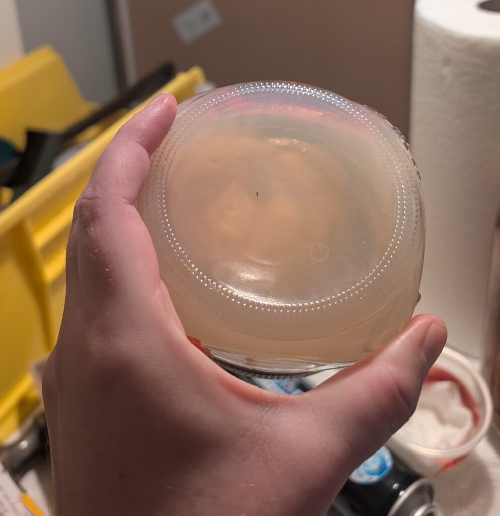 DIY home made potato starch dextrose agar for growing mushrooms. A mason jar shown from the bottom containing potato starch dextrose agar with an agar wedge transfer on it. Mycelium grows from the wedge transfer out into the fresh agar. 