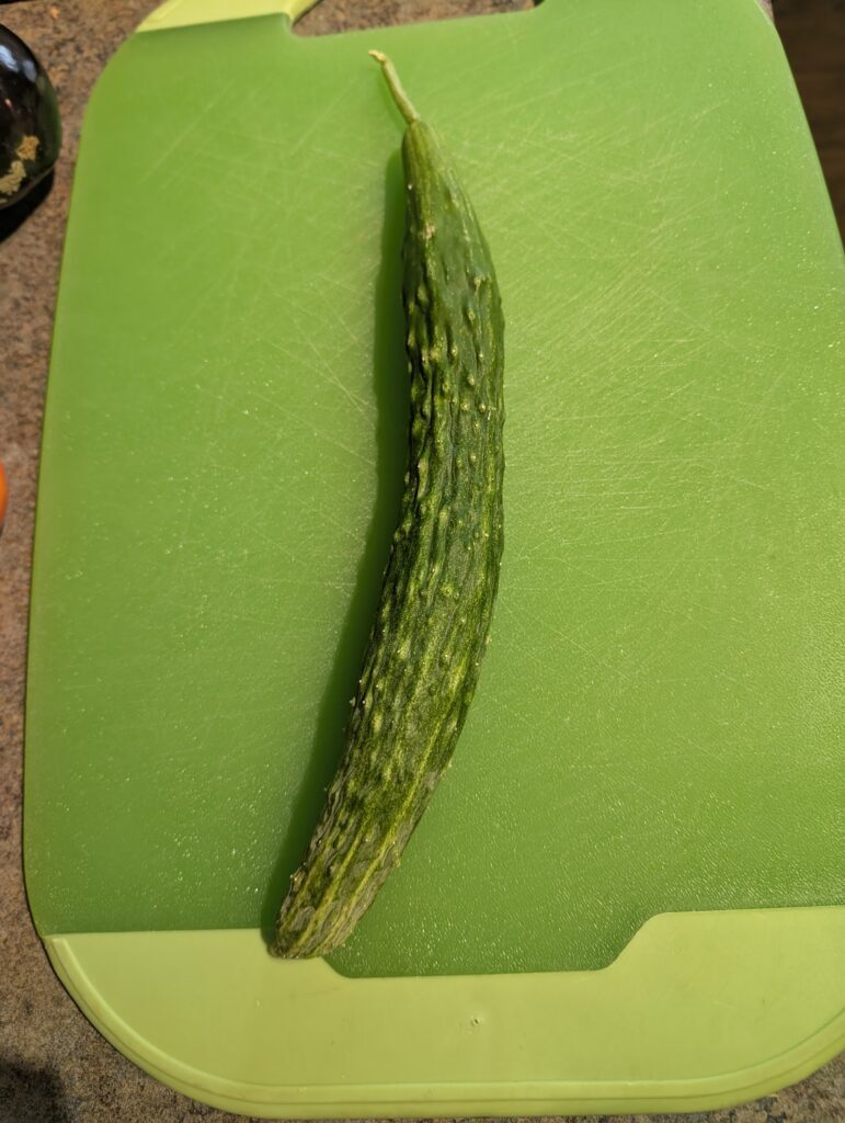 A whole Suyo cucumber on a cutting board