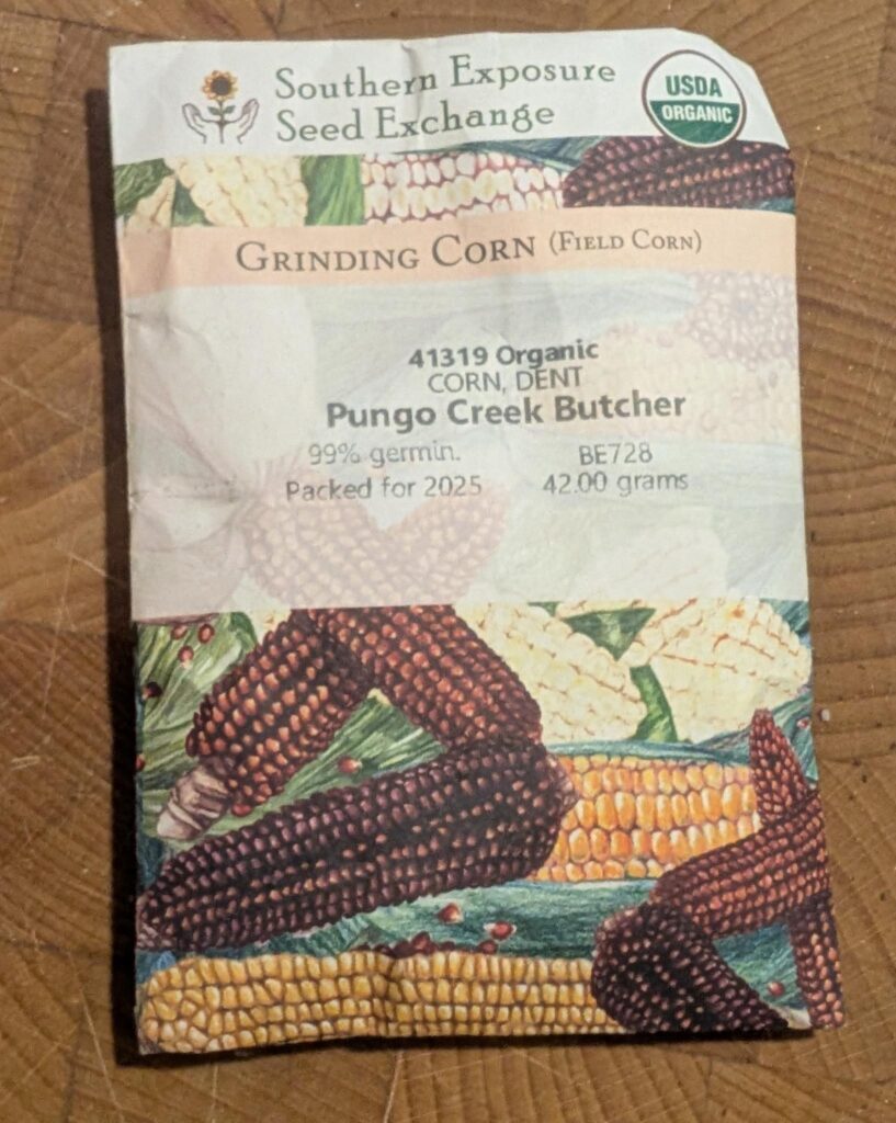 Pungo Creek Butcher Dent Corn seed packet from Southern Exposure Seed Exchange. The seed packet has illustrations of yellow, orange, and red cobs of corn.